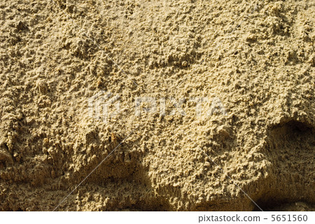 Texture of sand after rain 5651560