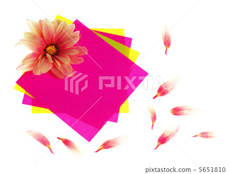 Stickers with flowers 5651810