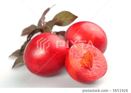 Red plum Red plum 5651926