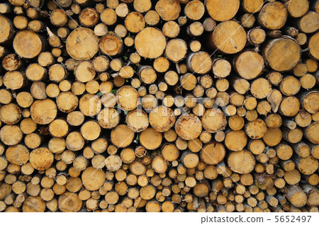 滿滿的木柴 5652497