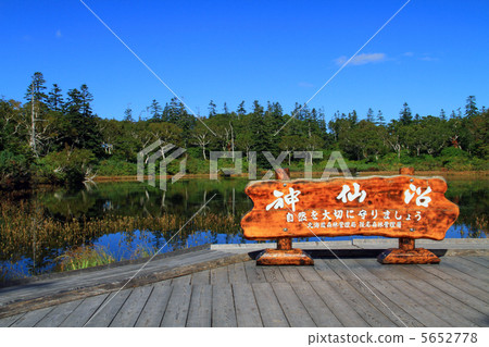 新森沼澤 5652778