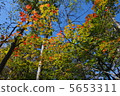 秋天著色 5653311