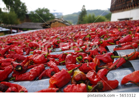 Sunflower red pepper Sunflower red pepper 5653312