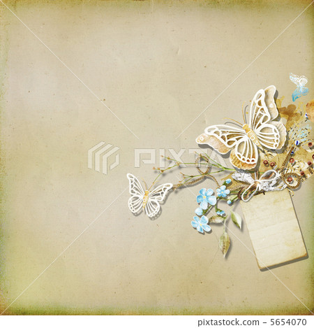 蝴蝶和紋理背景 5654070