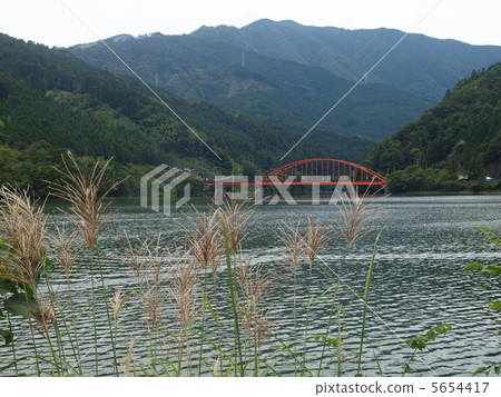 Susuki和橋 5654417