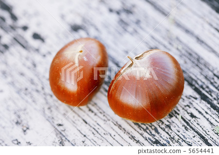 Chestnut Chestnut 5654441