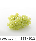 Neo · Muscat 5654912