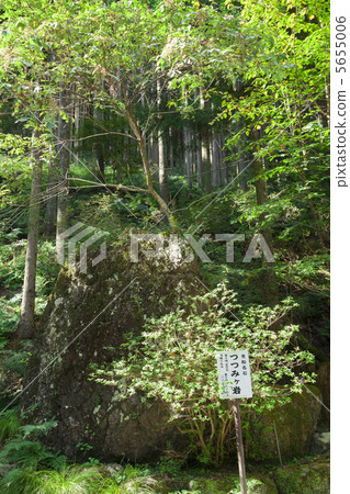 Konomi Rock 5655006
