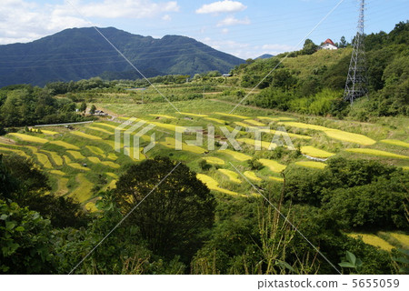 Inagura Rice terrace fall Inagura Rice terrace fall 5655059