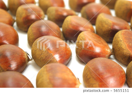 Chestnut fruits lined up 5655151