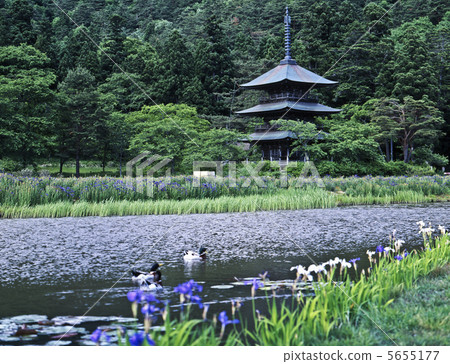 Akutsu Yahata神社的三重塔 5655177