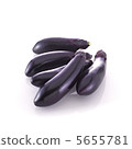 Eggplant 5655781
