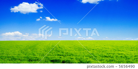 field field 5656490