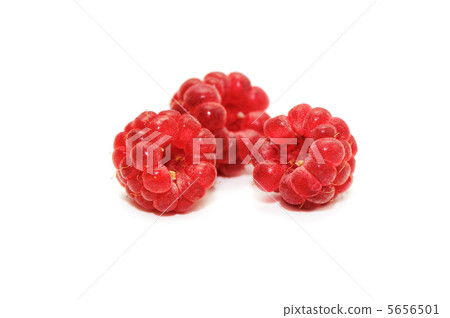 raspberry raspberry 5656501