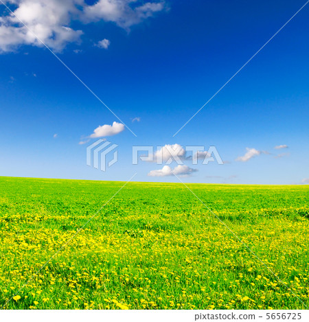 field 5656725