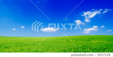 fields 5657226