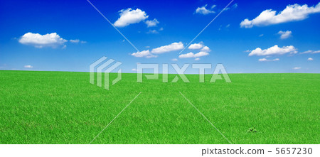 field 5657230