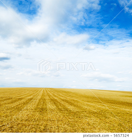field 5657324