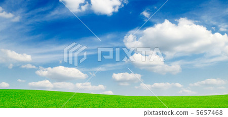 meadow meadow 5657468