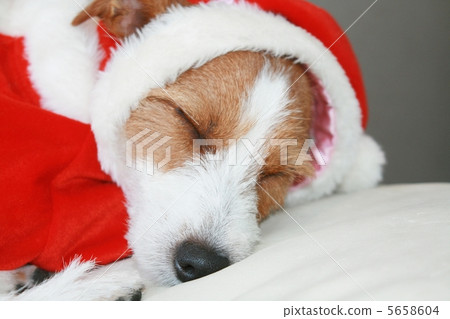 困了聖誕老人2 5658604