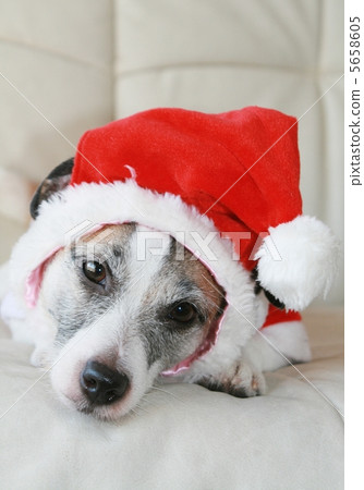 可愛的聖誕老人2 可愛的聖誕老人2 5658605