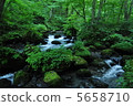 Oirase流 5658710