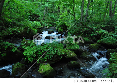 Oirase stream Oirase stream 5658710