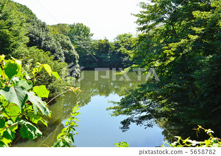 高岡步行·高岡城堡公園內護城河 高岡步行·高岡城堡公園內護城河 5658782