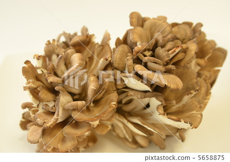 Dancers Dancers 5658875