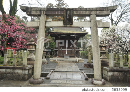 Serikawa Shrine in Seongnam-under of Kyoto Serikawa Shrine in Seongnam-under of Kyoto 5658999