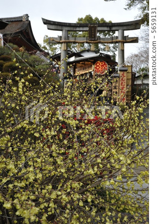 Happy yellow flowers Happy yellow flowers 5659131