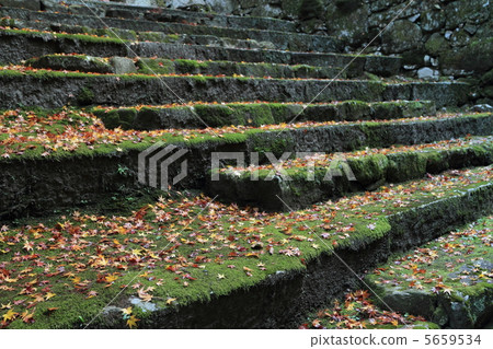 Stone steps and deciduous leaves Stone steps and deciduous leaves 5659534
