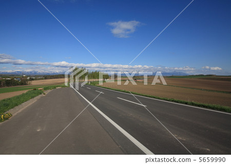 Seven Star's Tree Landscape Seven Star's Tree Landscape 5659990