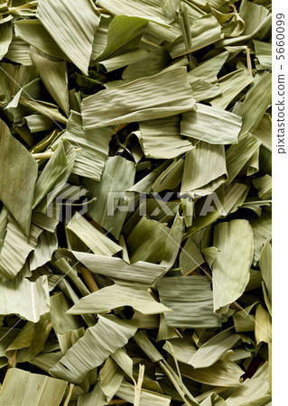 庫馬薩茶 5660099