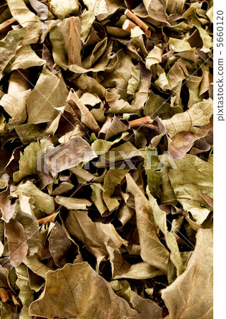 柿葉茶 柿葉茶 5660120