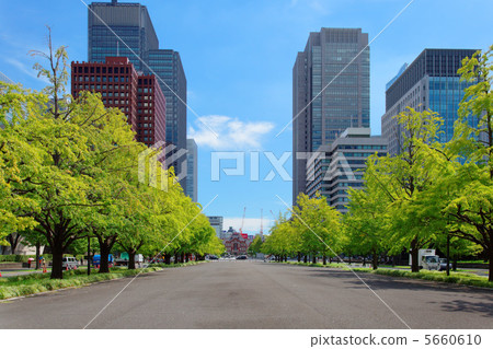 東京站丸之內車站大樓前的銀杏樹和高層建築 東京站丸之內車站大樓前的銀杏樹和高層建築 5660610