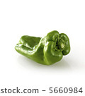green pepper  5660984