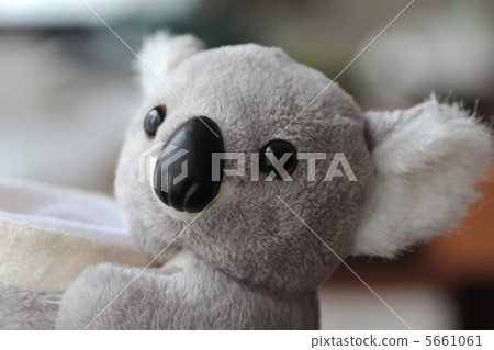 澳洲紀念品無尾熊娃娃毛絨玩具 5661061