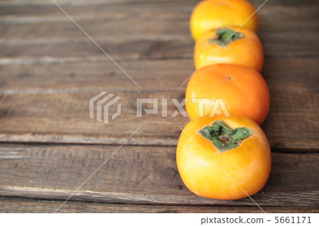 Four Shonai persimmons lined up in a row (seedless persimmons) 5661171
