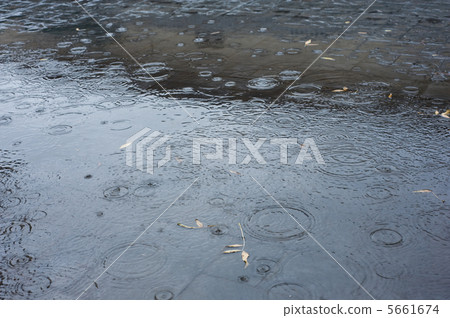 rain water texture 5661674