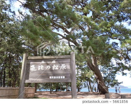 Matsubara of the Shiribetsu 5661856