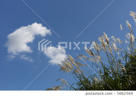 秋天的天氣 5662569