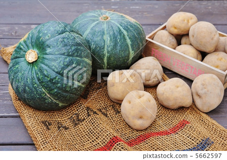 Pumpkin and potato (Hokkaido) 5662597