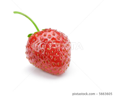Strawberries Strawberries 5663605