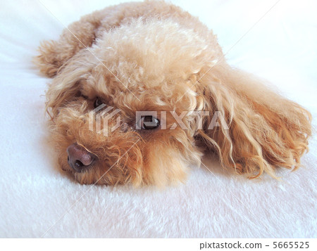 I am tired today I am tired today 5665525