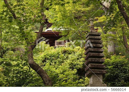 Jotokoji Temple Jotokoji Temple 5666014