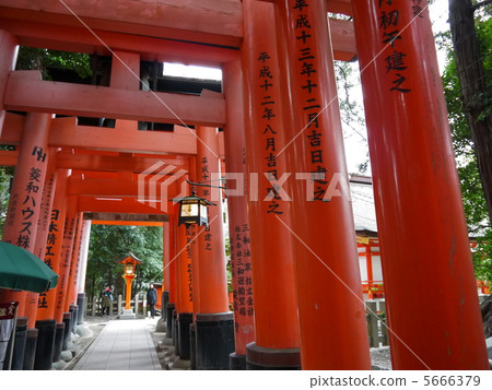 伏見稻荷 5666379