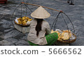 Vietnam 5666562