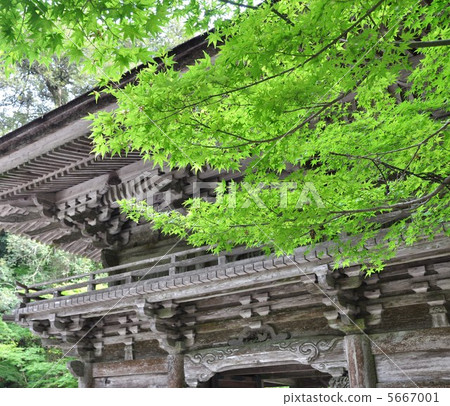 Oota Shrine Oota Shrine 5667001