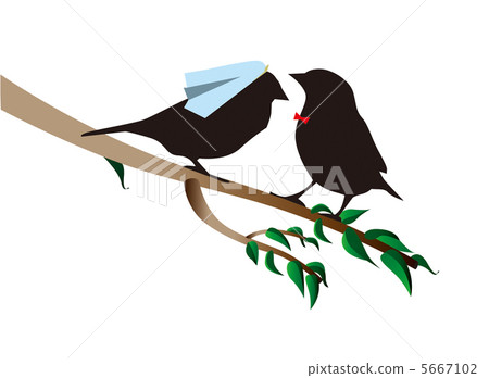 bird, birds, fowls 5667102